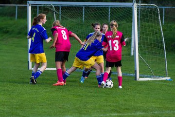 Bild 229 - B-Juniorinnen TSV Gnutz o.W. - SV Wahlstedt : Ergebnis: 1:1